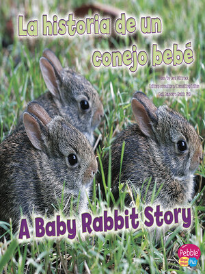 cover image of La historia de un conejo bebé/A Baby Rabbit Story